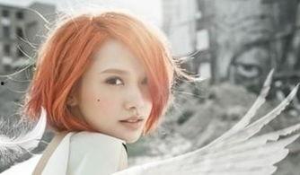 杨丞琳封杀视频,杨丞琳因封杀视频事件引发热议